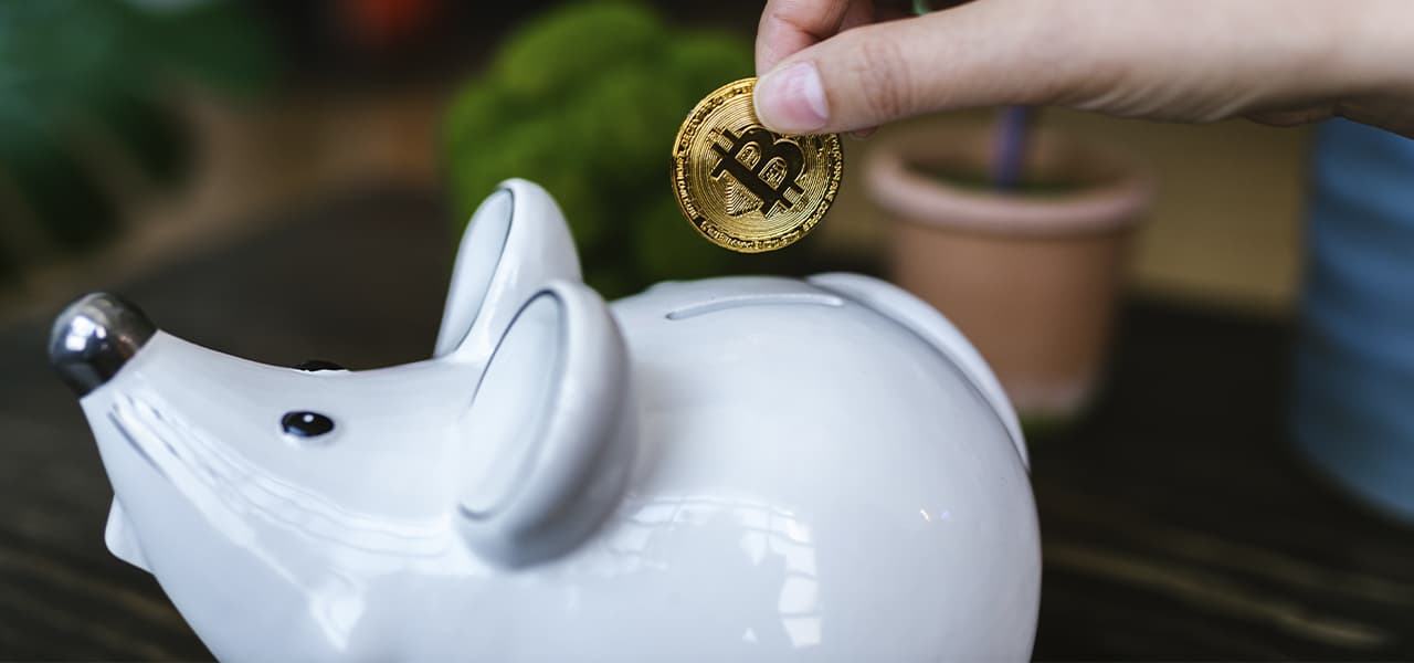 Coin in a piggy bank